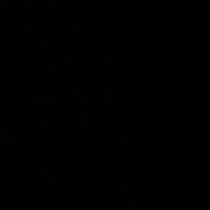 Meet your Posher, Carmen